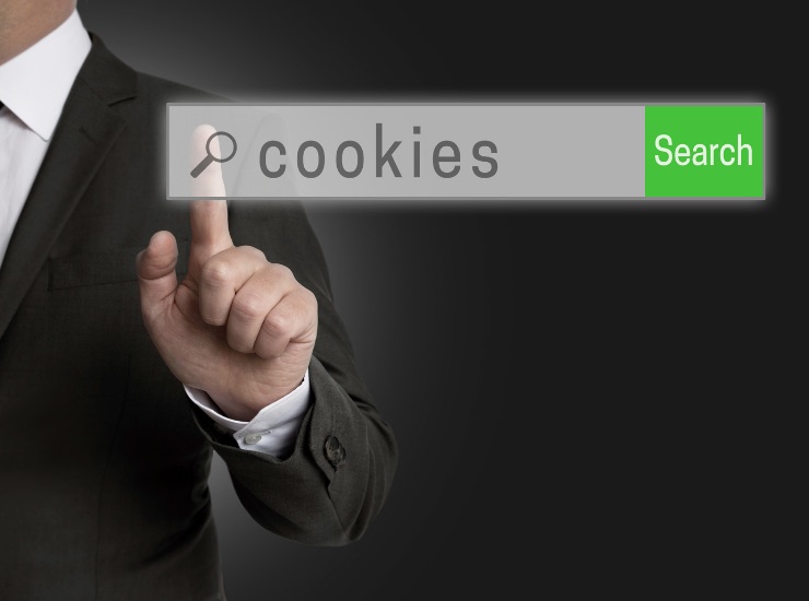 Cookies ricerca